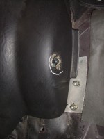 Halter Rückbank 2.jpg