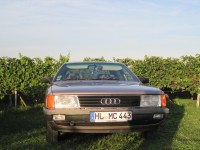 Flamingo 2010 09 11  800x600.jpg