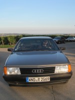 Papyrus 2010 09 11 600x800.jpg