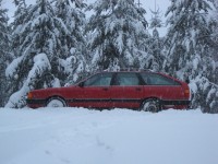 Der Quattro in seiner natürlichen Umgebung.