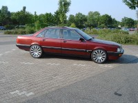 Angrillen &quot;2005&quot;