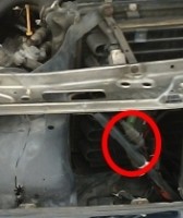 AT-Fühler Klima.JPG