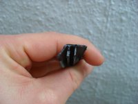 Die Leiste im Profil