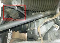 Procon-Ten Seile.JPG