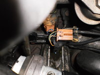 Multifuzzi und Kühlmittel 007.jpg