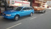Audi A6 holt Holz!.JPG