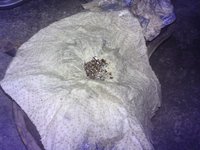 Ein Häufchen nicht magnetische Späne...