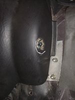 Halter Rückbank 2.jpg