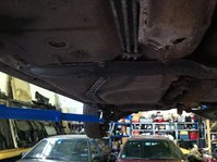 Der Boden sieht eigentlich ganz OK aus.