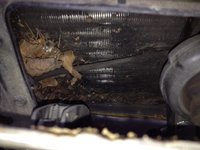 image.jpeg (103.25 KiB) 11541 mal betrachtet Das Zeug da drin war schon teilweise kompostiert