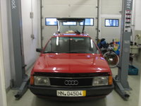 ....in seinem natürlichen Habitat