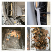 IMG_6705.jpeg (761.67 KiB) 1898 mal betrachtet Luftfilter Unrat