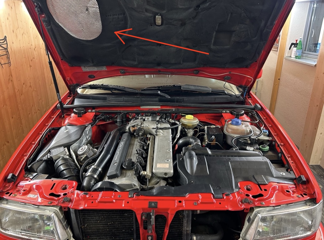 S2 3B Motorhaube.jpg