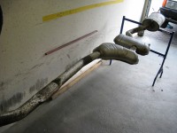 AGA 2010 vor der Rep.